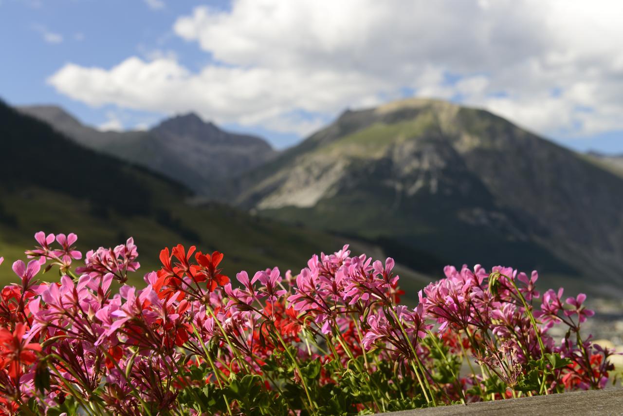 Chalet Garden Livigno Exterior foto